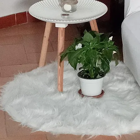 La Soffitta Di Megan