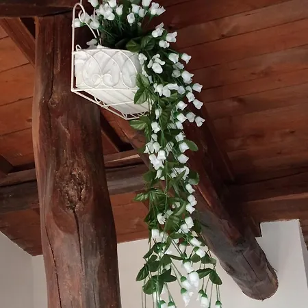 La Soffitta Di Megan Bed & Breakfast Cesano